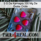 5 G De Kamagra 100 Mg De Gelée Orale 13